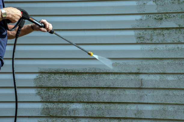 Best House Exterior Washing  in Arabi, LA